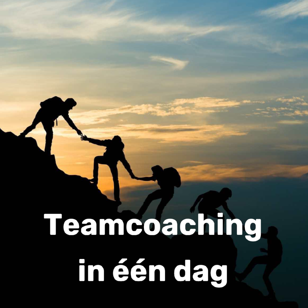 Teamcoaching in één dag